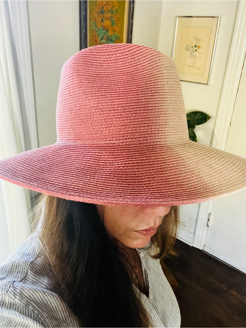 Eugenia Kim Wide-Brim Pink Ombre Straw Sun Hat - Women Accessories